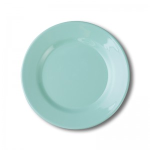 MTJ010 Mint Dinner Plate