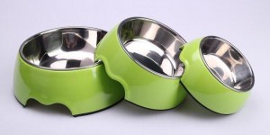 Dog Bowl Set