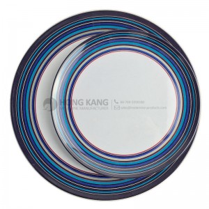 10inch meal plate